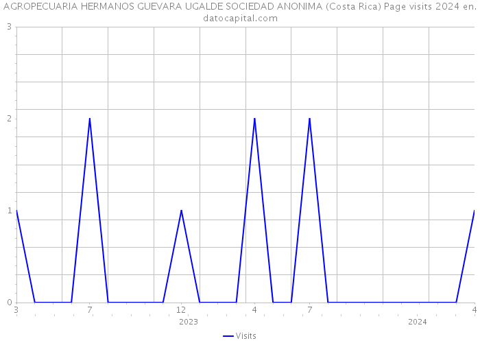 AGROPECUARIA HERMANOS GUEVARA UGALDE SOCIEDAD ANONIMA (Costa Rica) Page visits 2024 