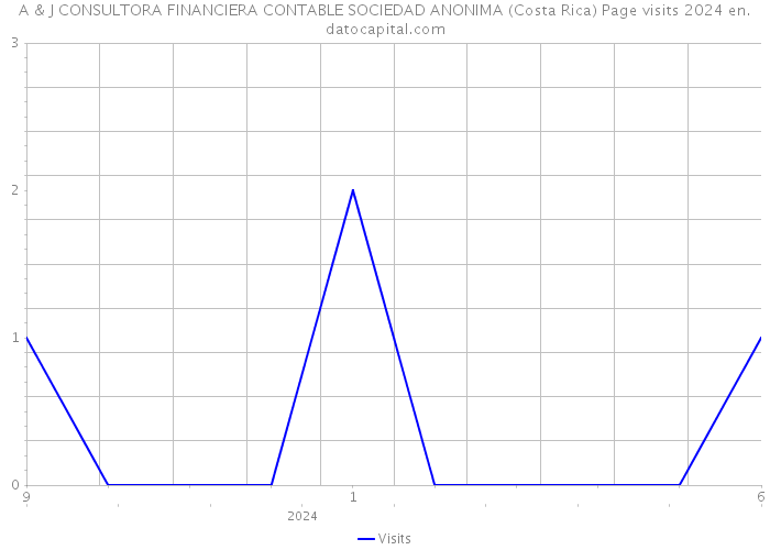 A & J CONSULTORA FINANCIERA CONTABLE SOCIEDAD ANONIMA (Costa Rica) Page visits 2024 