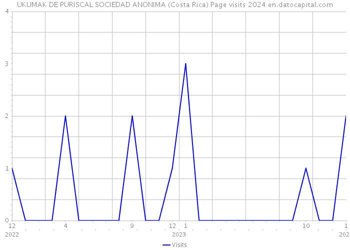 UKUMAK DE PURISCAL SOCIEDAD ANONIMA (Costa Rica) Page visits 2024 