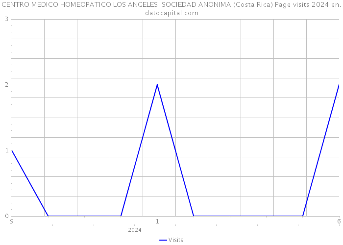 CENTRO MEDICO HOMEOPATICO LOS ANGELES SOCIEDAD ANONIMA (Costa Rica) Page visits 2024 