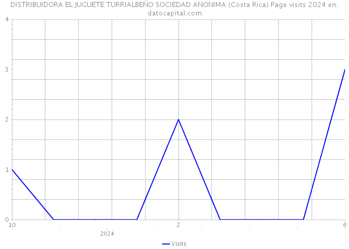 DISTRIBUIDORA EL JUGUETE TURRIALBEŃO SOCIEDAD ANONIMA (Costa Rica) Page visits 2024 