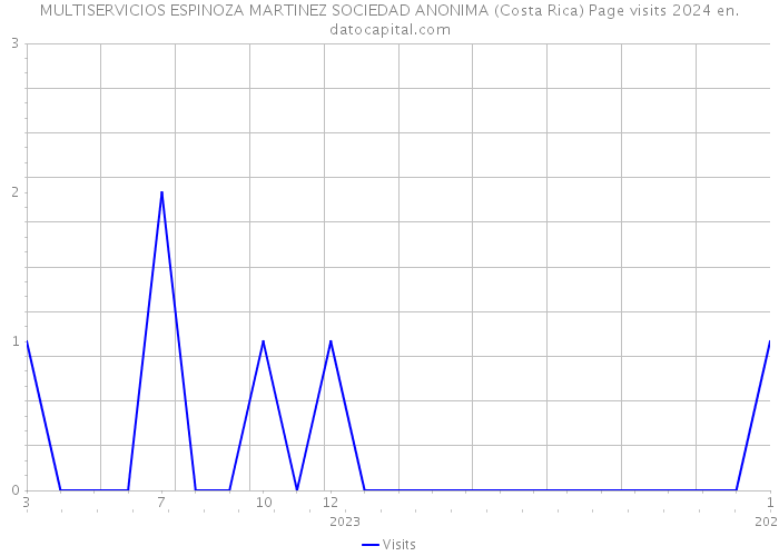 MULTISERVICIOS ESPINOZA MARTINEZ SOCIEDAD ANONIMA (Costa Rica) Page visits 2024 