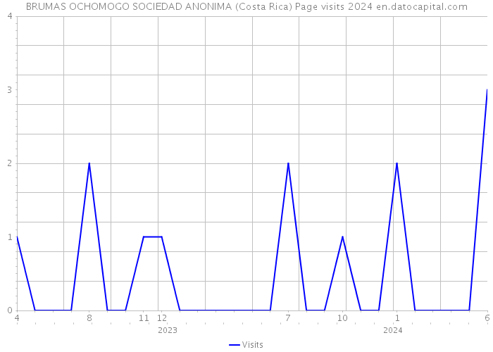 BRUMAS OCHOMOGO SOCIEDAD ANONIMA (Costa Rica) Page visits 2024 