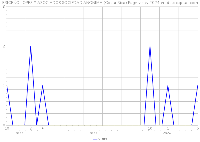 BRICEŃO LOPEZ Y ASOCIADOS SOCIEDAD ANONIMA (Costa Rica) Page visits 2024 