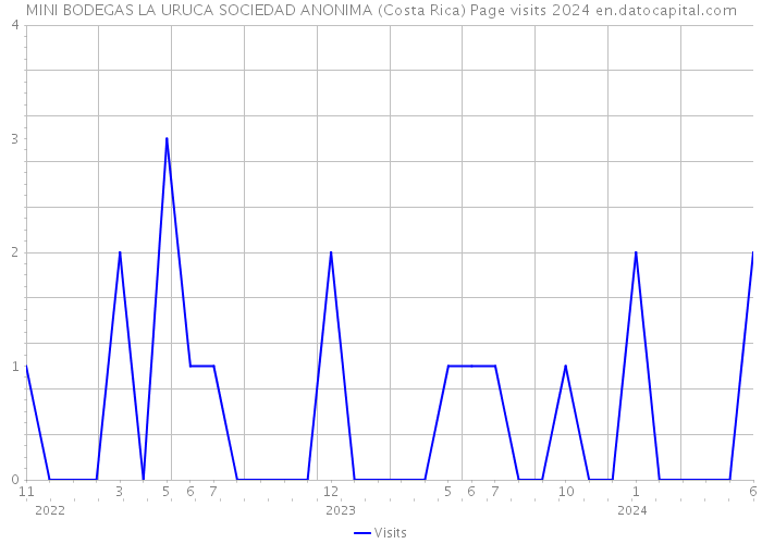MINI BODEGAS LA URUCA SOCIEDAD ANONIMA (Costa Rica) Page visits 2024 