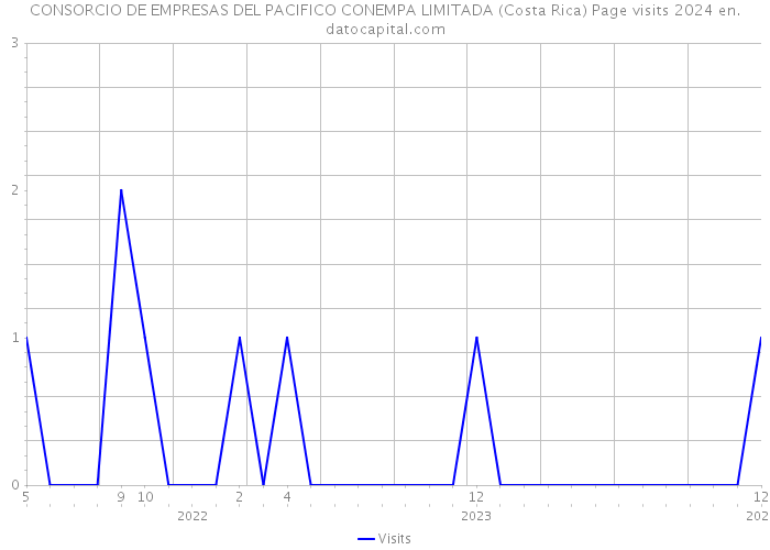 CONSORCIO DE EMPRESAS DEL PACIFICO CONEMPA LIMITADA (Costa Rica) Page visits 2024 