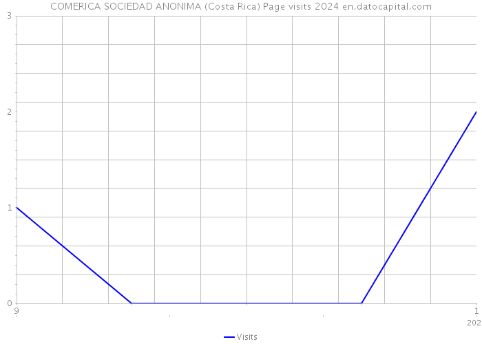 COMERICA SOCIEDAD ANONIMA (Costa Rica) Page visits 2024 