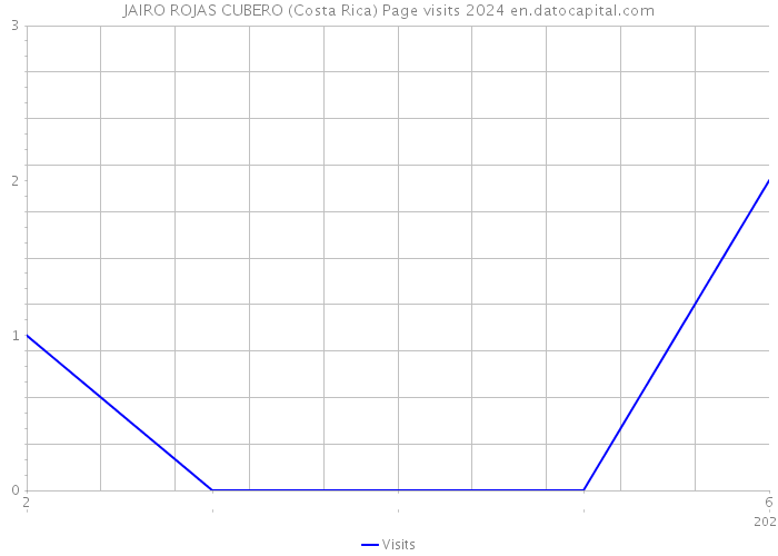 JAIRO ROJAS CUBERO (Costa Rica) Page visits 2024 
