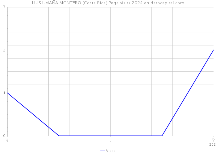 LUIS UMAÑA MONTERO (Costa Rica) Page visits 2024 