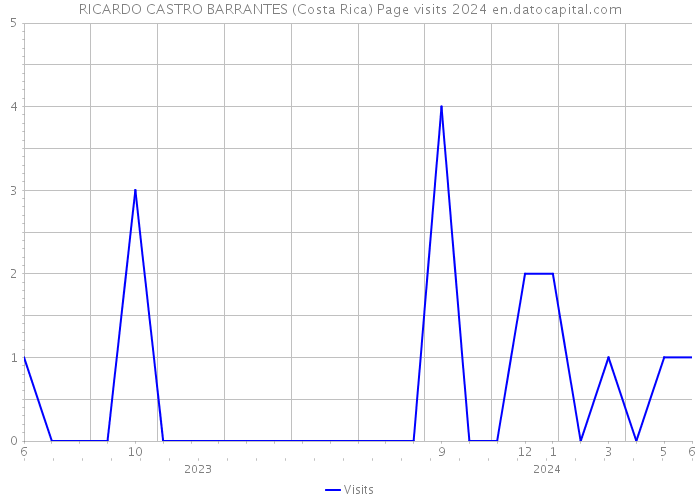 RICARDO CASTRO BARRANTES (Costa Rica) Page visits 2024 