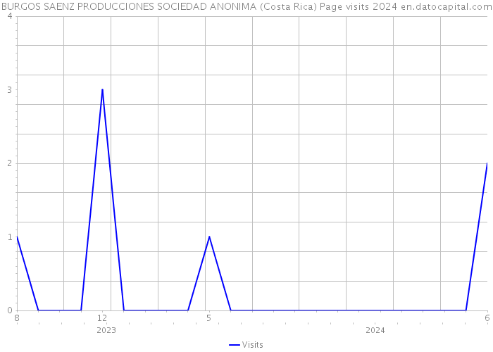 BURGOS SAENZ PRODUCCIONES SOCIEDAD ANONIMA (Costa Rica) Page visits 2024 