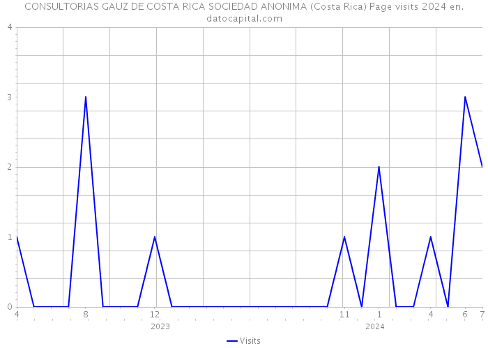 CONSULTORIAS GAUZ DE COSTA RICA SOCIEDAD ANONIMA (Costa Rica) Page visits 2024 