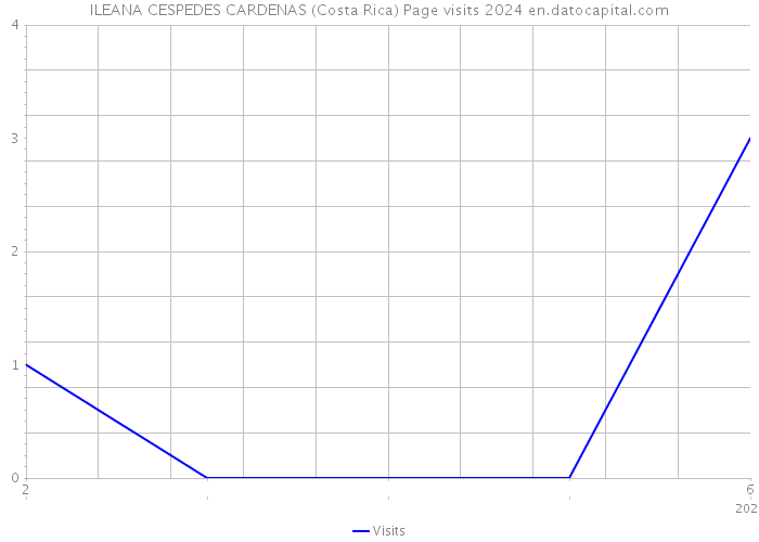 ILEANA CESPEDES CARDENAS (Costa Rica) Page visits 2024 