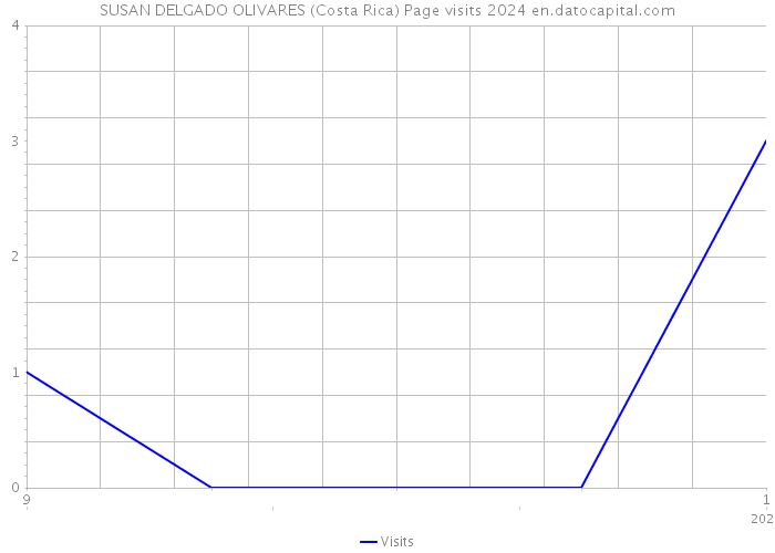 SUSAN DELGADO OLIVARES (Costa Rica) Page visits 2024 