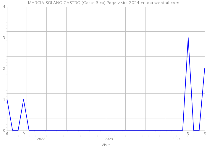 MARCIA SOLANO CASTRO (Costa Rica) Page visits 2024 