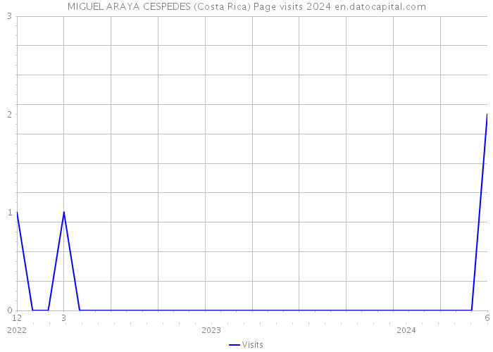 MIGUEL ARAYA CESPEDES (Costa Rica) Page visits 2024 