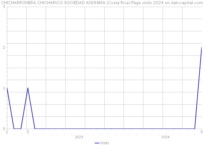 CHICHARRONERA CHICHARICO SOCIEDAD ANONIMA (Costa Rica) Page visits 2024 