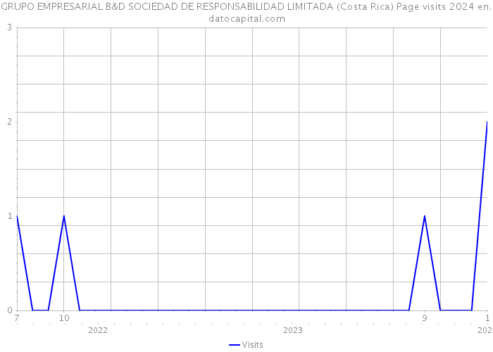 GRUPO EMPRESARIAL B&D SOCIEDAD DE RESPONSABILIDAD LIMITADA (Costa Rica) Page visits 2024 