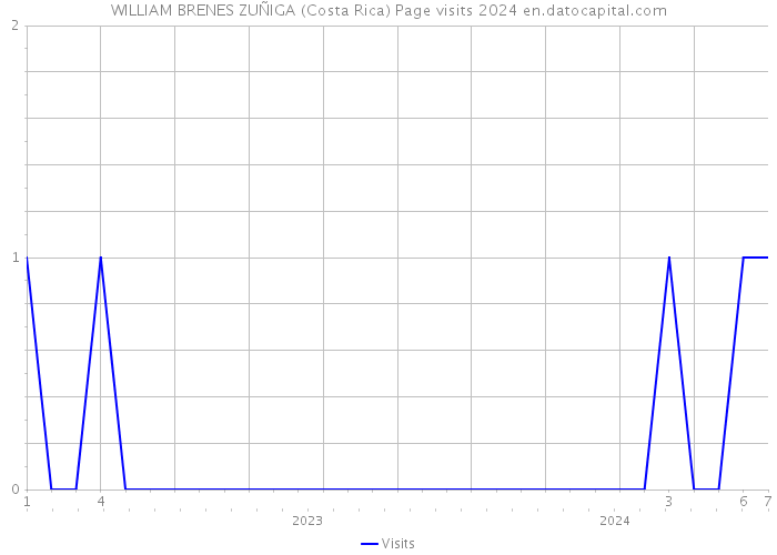 WILLIAM BRENES ZUÑIGA (Costa Rica) Page visits 2024 