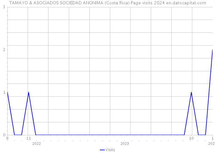 TAMAYO & ASOCIADOS SOCIEDAD ANONIMA (Costa Rica) Page visits 2024 