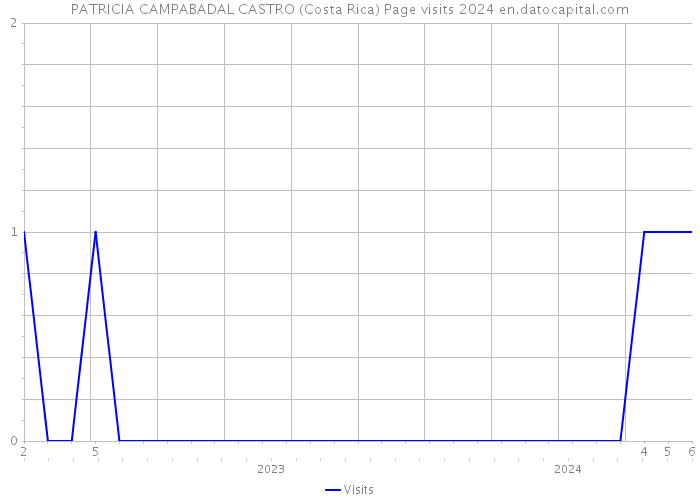 PATRICIA CAMPABADAL CASTRO (Costa Rica) Page visits 2024 