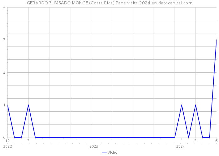 GERARDO ZUMBADO MONGE (Costa Rica) Page visits 2024 