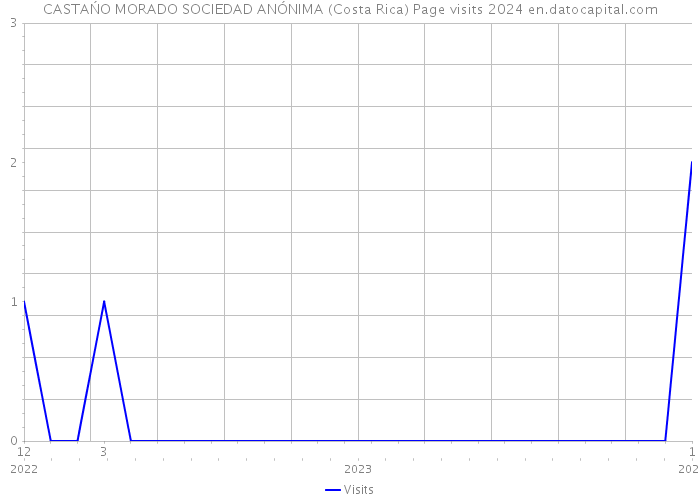 CASTAŃO MORADO SOCIEDAD ANÓNIMA (Costa Rica) Page visits 2024 