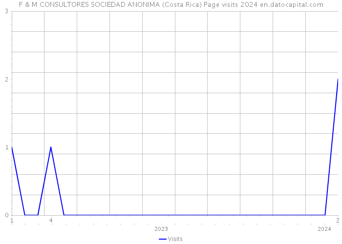 F & M CONSULTORES SOCIEDAD ANONIMA (Costa Rica) Page visits 2024 