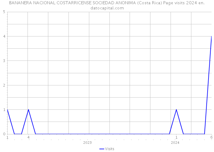 BANANERA NACIONAL COSTARRICENSE SOCIEDAD ANONIMA (Costa Rica) Page visits 2024 