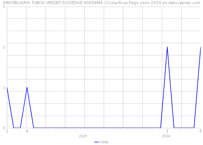 INMOBILIARIA TUBOS VERDES SOCIEDAD ANONIMA (Costa Rica) Page visits 2024 