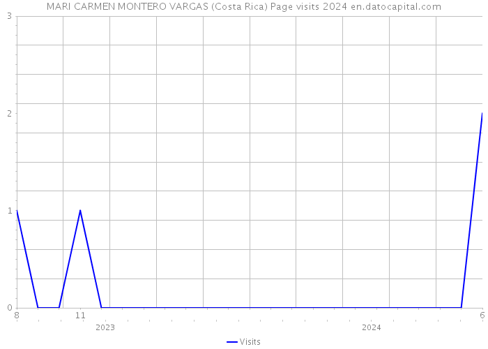 MARI CARMEN MONTERO VARGAS (Costa Rica) Page visits 2024 