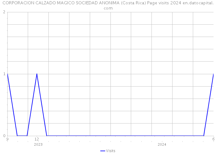 CORPORACION CALZADO MAGICO SOCIEDAD ANONIMA (Costa Rica) Page visits 2024 