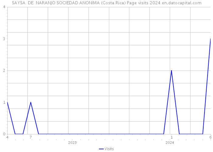 SAYSA DE NARANJO SOCIEDAD ANONIMA (Costa Rica) Page visits 2024 