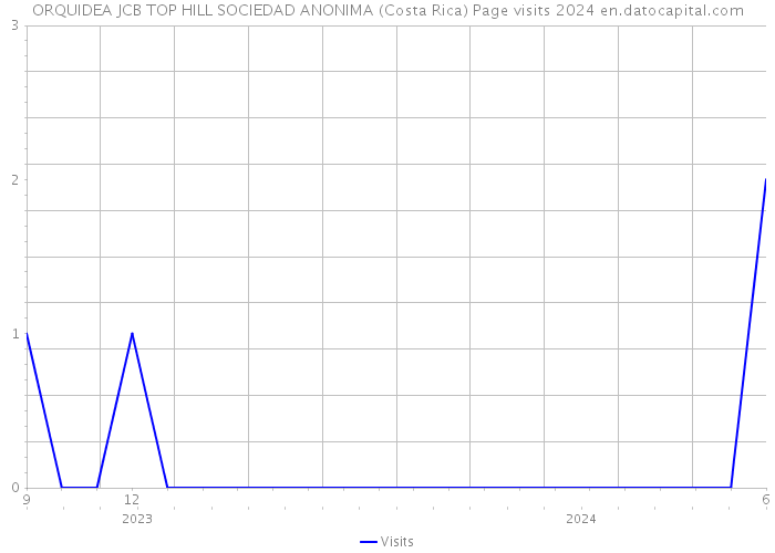 ORQUIDEA JCB TOP HILL SOCIEDAD ANONIMA (Costa Rica) Page visits 2024 
