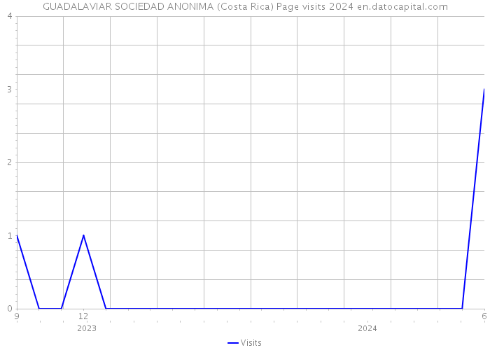 GUADALAVIAR SOCIEDAD ANONIMA (Costa Rica) Page visits 2024 