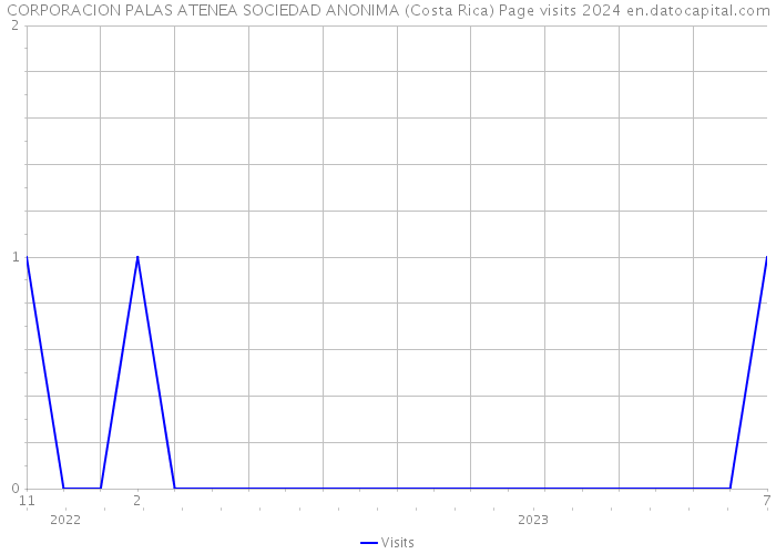 CORPORACION PALAS ATENEA SOCIEDAD ANONIMA (Costa Rica) Page visits 2024 