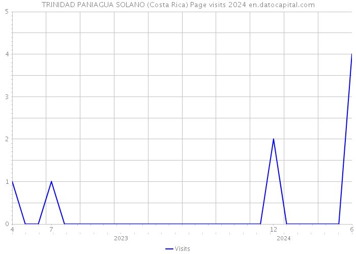 TRINIDAD PANIAGUA SOLANO (Costa Rica) Page visits 2024 