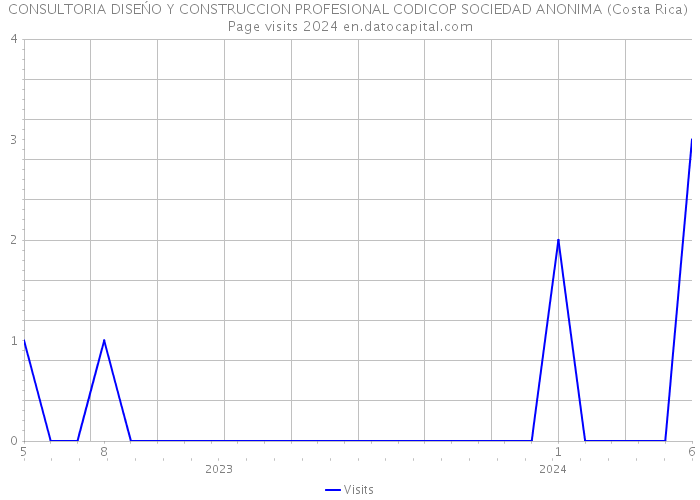CONSULTORIA DISEŃO Y CONSTRUCCION PROFESIONAL CODICOP SOCIEDAD ANONIMA (Costa Rica) Page visits 2024 
