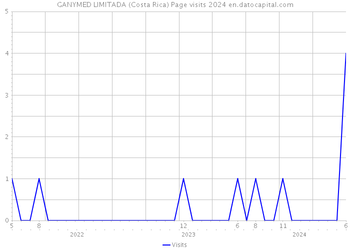 GANYMED LIMITADA (Costa Rica) Page visits 2024 