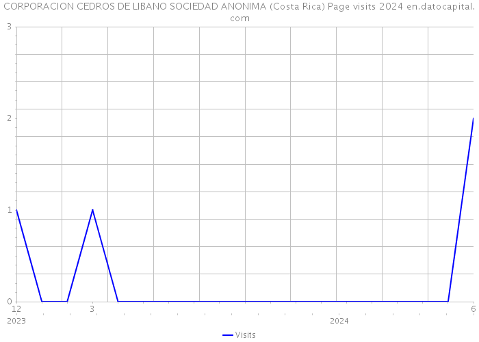 CORPORACION CEDROS DE LIBANO SOCIEDAD ANONIMA (Costa Rica) Page visits 2024 