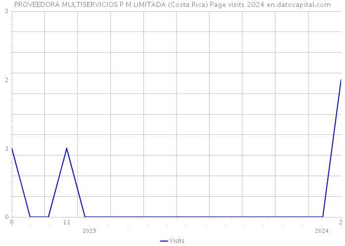 PROVEEDORA MULTISERVICIOS P M LIMITADA (Costa Rica) Page visits 2024 