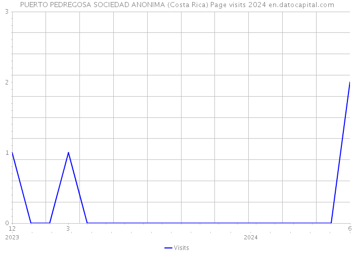 PUERTO PEDREGOSA SOCIEDAD ANONIMA (Costa Rica) Page visits 2024 