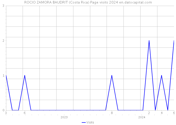ROCIO ZAMORA BAUDRIT (Costa Rica) Page visits 2024 