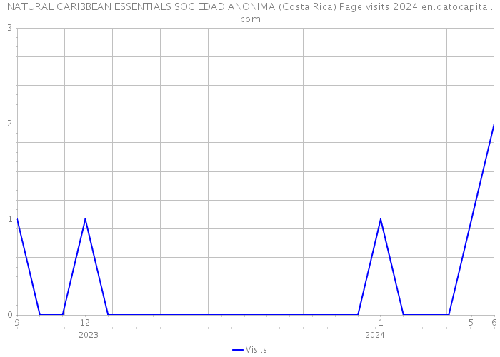 NATURAL CARIBBEAN ESSENTIALS SOCIEDAD ANONIMA (Costa Rica) Page visits 2024 