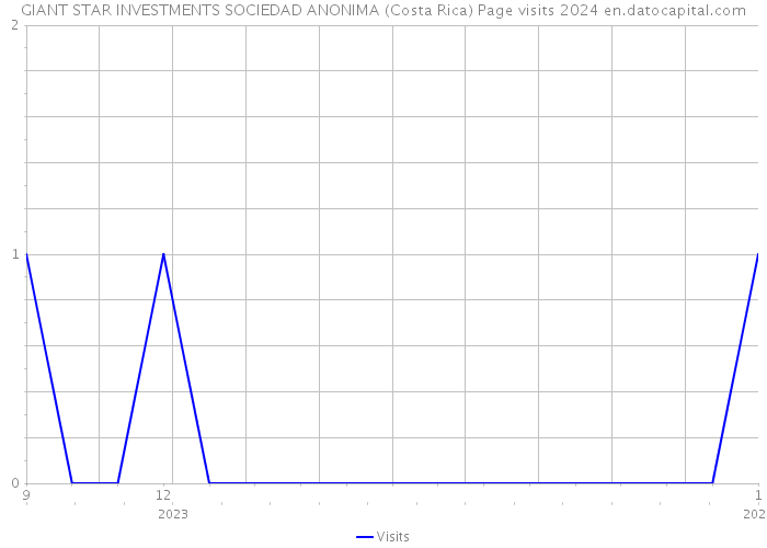 GIANT STAR INVESTMENTS SOCIEDAD ANONIMA (Costa Rica) Page visits 2024 