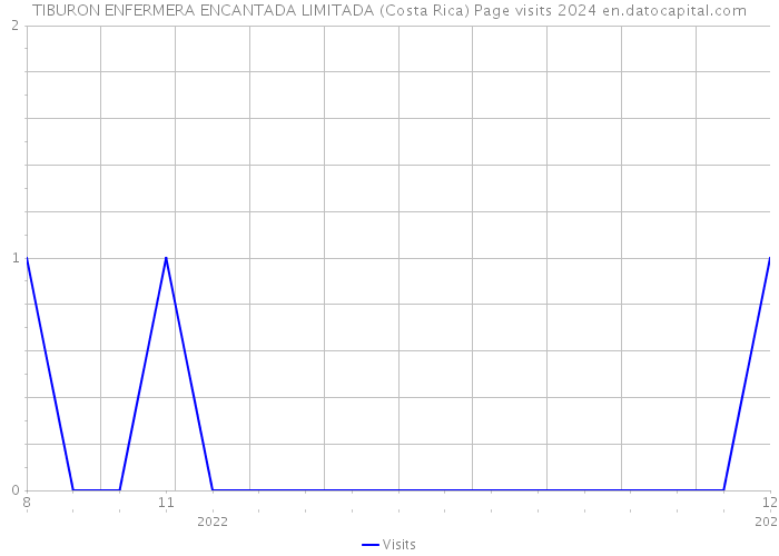 TIBURON ENFERMERA ENCANTADA LIMITADA (Costa Rica) Page visits 2024 