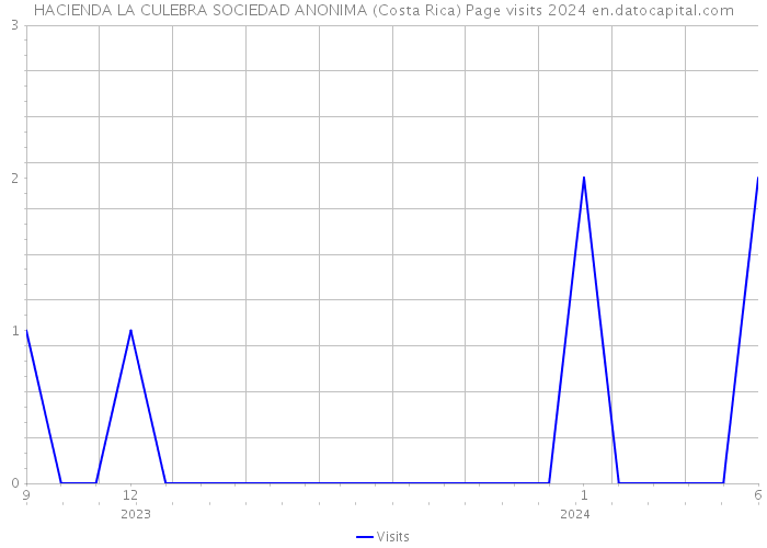 HACIENDA LA CULEBRA SOCIEDAD ANONIMA (Costa Rica) Page visits 2024 