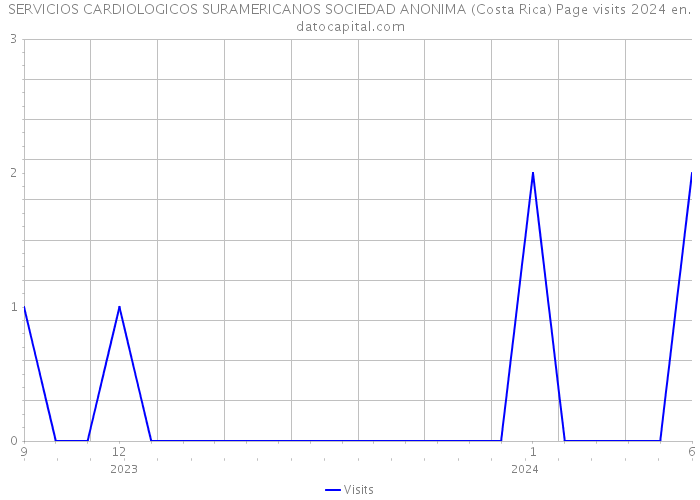 SERVICIOS CARDIOLOGICOS SURAMERICANOS SOCIEDAD ANONIMA (Costa Rica) Page visits 2024 
