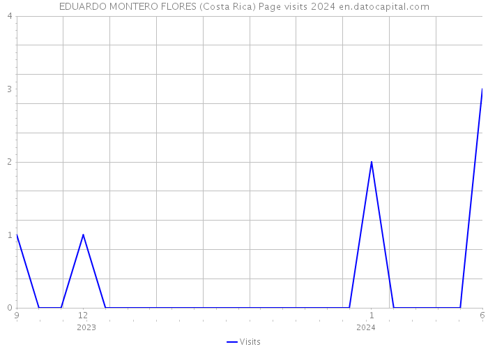 EDUARDO MONTERO FLORES (Costa Rica) Page visits 2024 