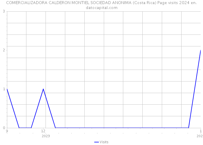 COMERCIALIZADORA CALDERON MONTIEL SOCIEDAD ANONIMA (Costa Rica) Page visits 2024 